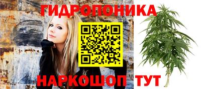 mdpv Дубна