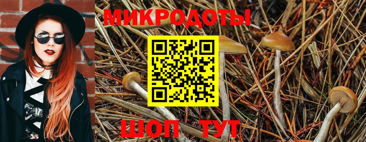 Галлюциногенные грибы Psilocybine cubensis  Псилоцибиновые грибы MAGIC MUSHROOMS  Ленинск-Кузнецкий  Вход с VPN 